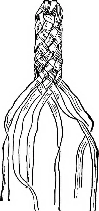 An illustration from Practical and artistic basketry, 1904, leaf 67