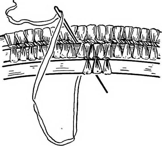 An illustration from Practical and artistic basketry, 1904, leaf 92