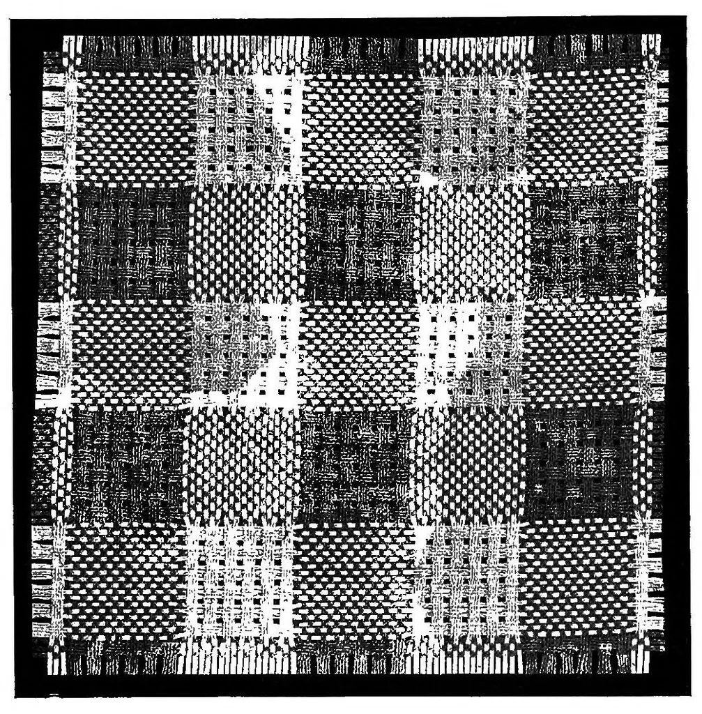 An illustration from Textile design pure and applied, 1912, leaf 171