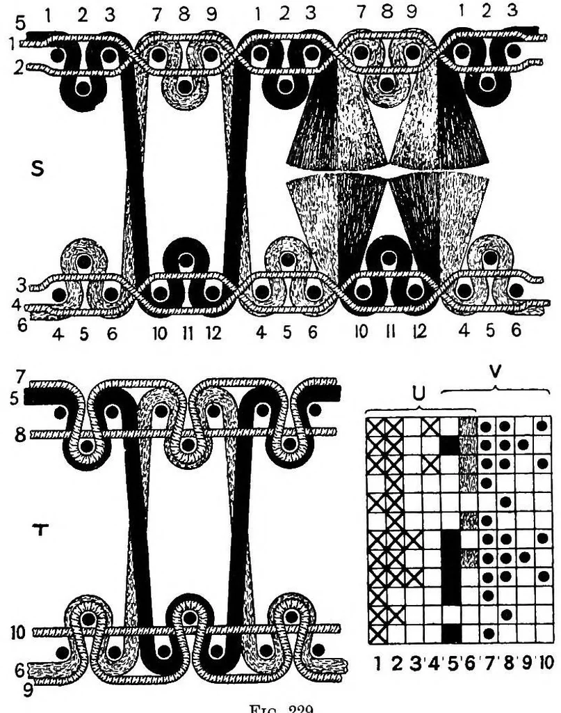 An illustration from Textile design pure and applied, 1912, leaf 396
