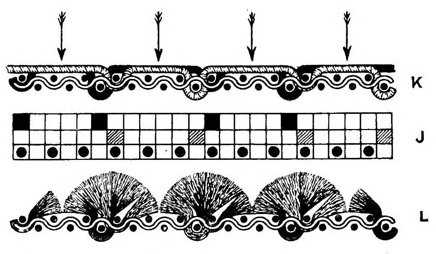 An illustration from Textile design pure and applied, 1912, leaf 454