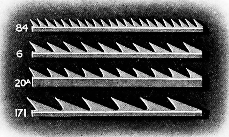 An illustration from Wool substitutes, 1922, leaf 118