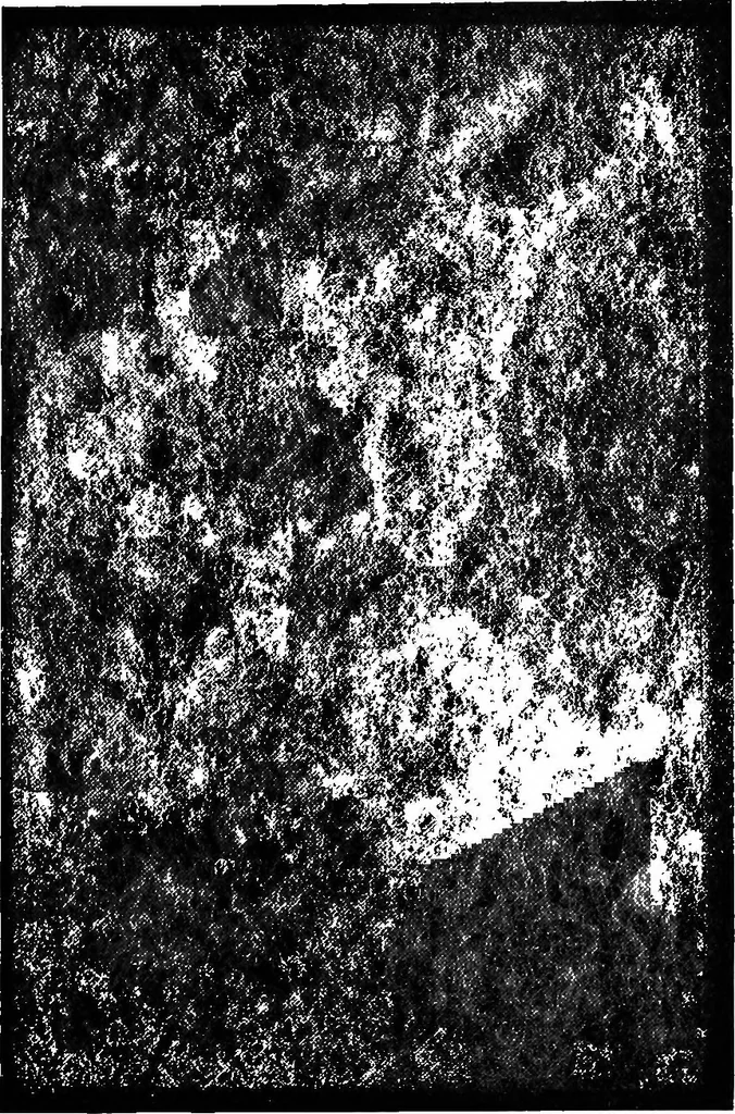 An illustration from Wool substitutes, 1922, leaf 174