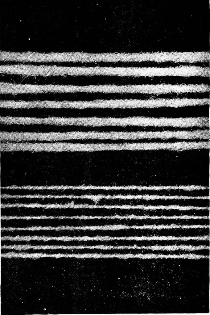 An illustration from Wool substitutes, 1922, leaf 176