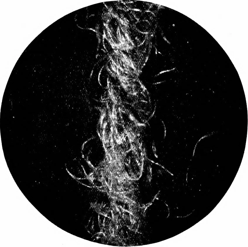 An illustration from Wool substitutes, 1922, leaf 185