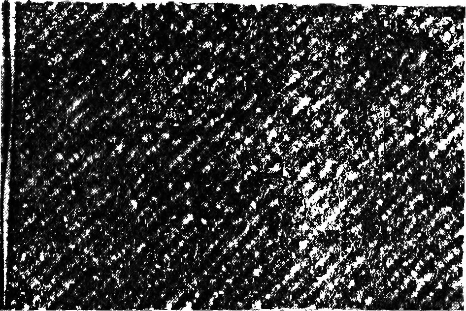 An illustration from Wool substitutes, 1922, leaf 194