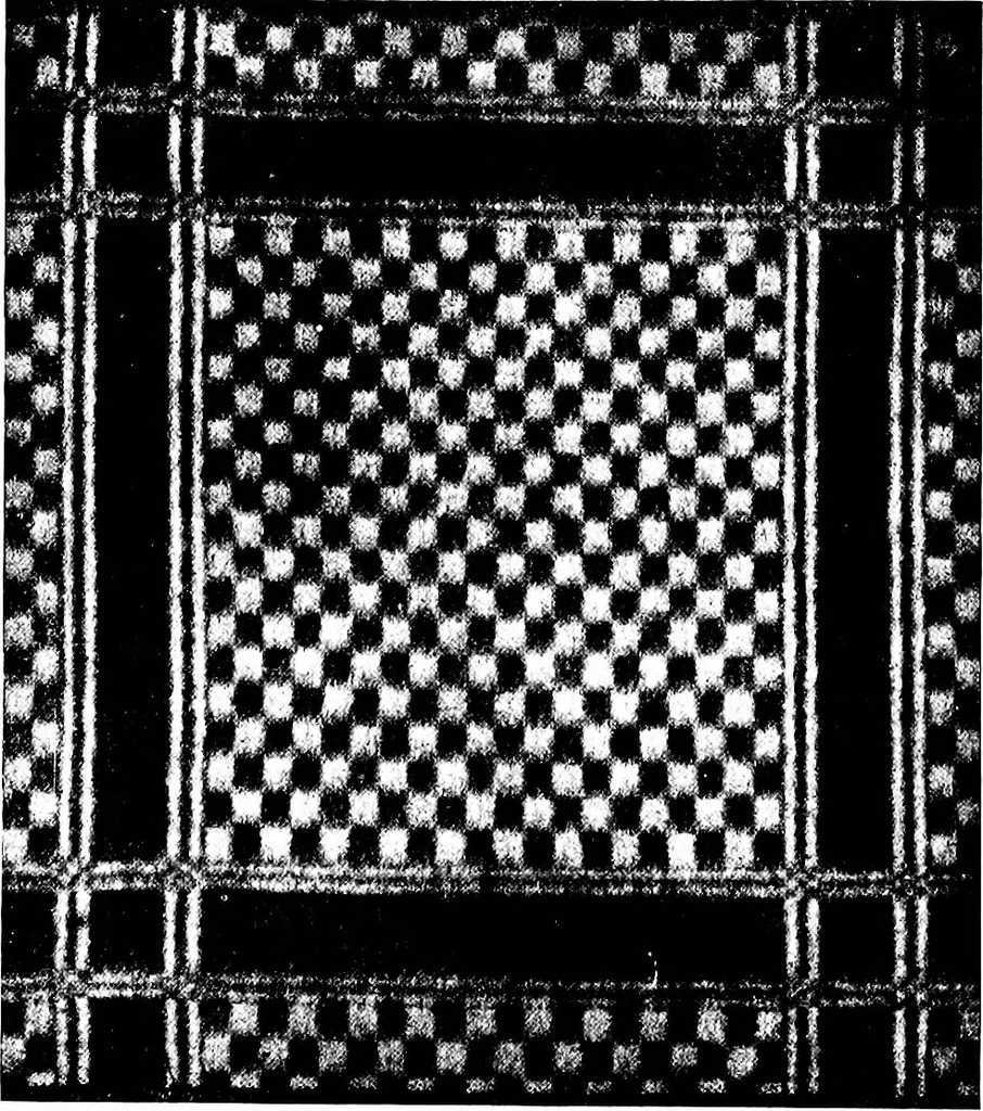 An illustration from Wool substitutes, 1922, leaf 197