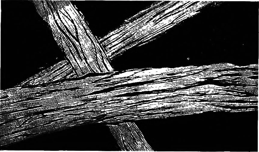 An illustration from Wool substitutes, 1922, leaf 24