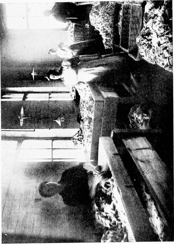 An illustration from Wool substitutes, 1922, leaf 34