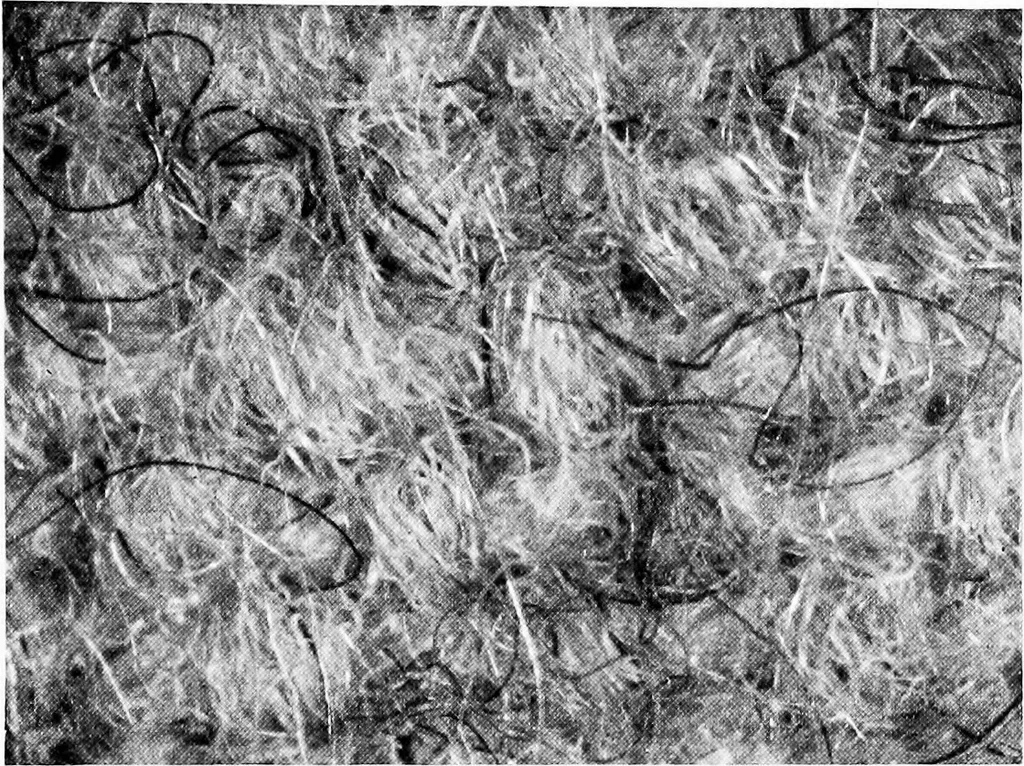 An illustration from Wool substitutes, 1922, leaf 66