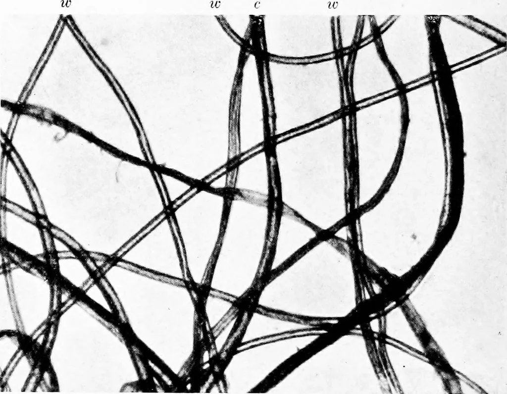 An illustration from Wool substitutes, 1922, leaf 67