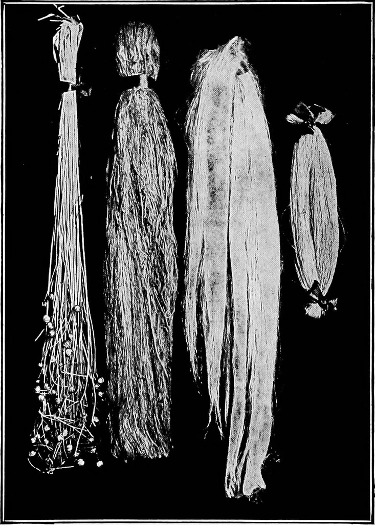 An illustration from Study of fabrics, 1920, leaf 104