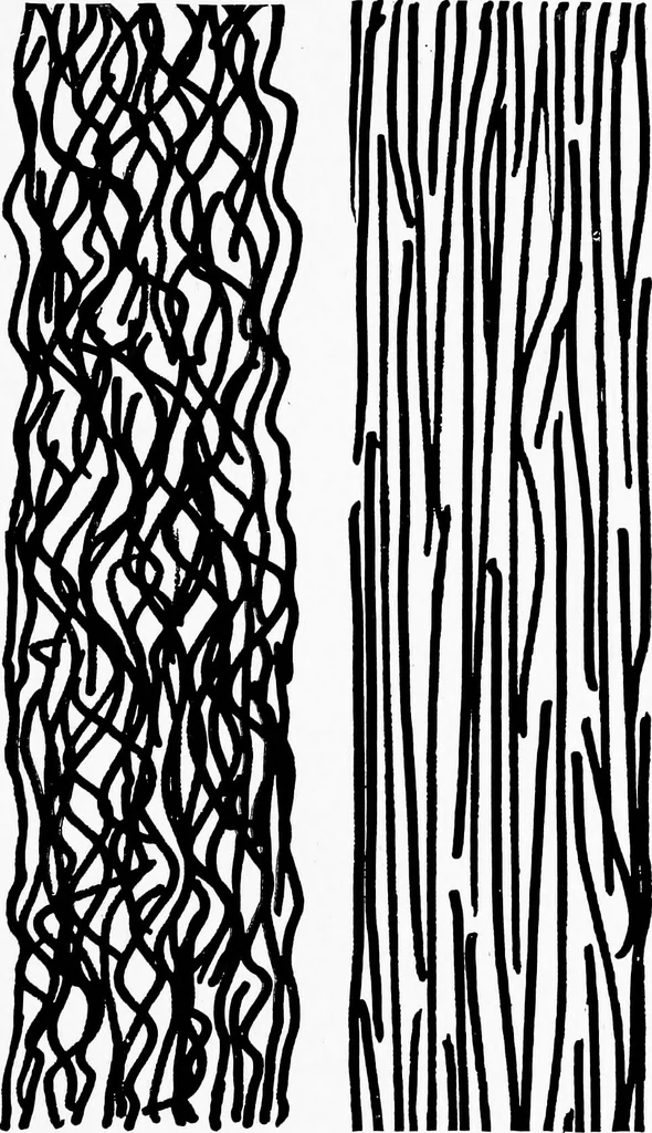 An illustration from Study of fabrics, 1920, leaf 54