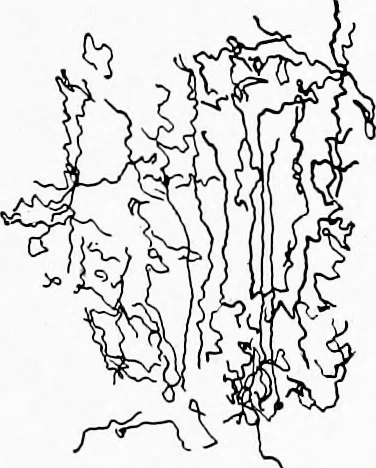 An illustration from Study of fabrics, 1920, leaf 58
