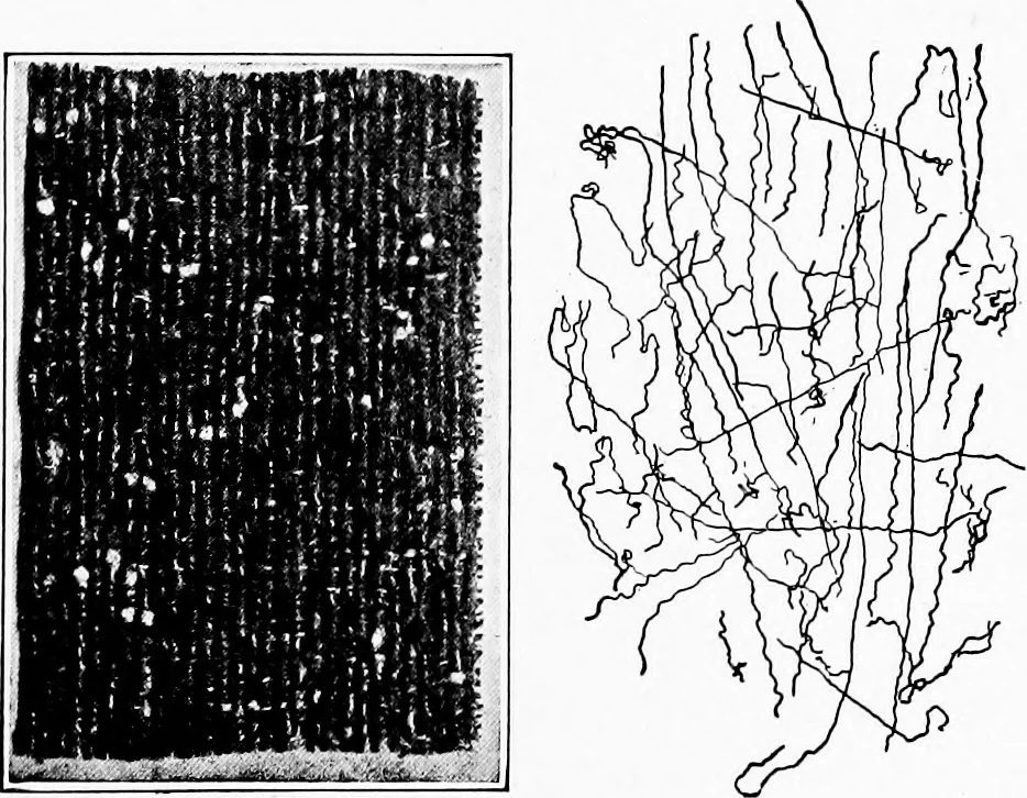 An illustration from Study of fabrics, 1920, leaf 58
