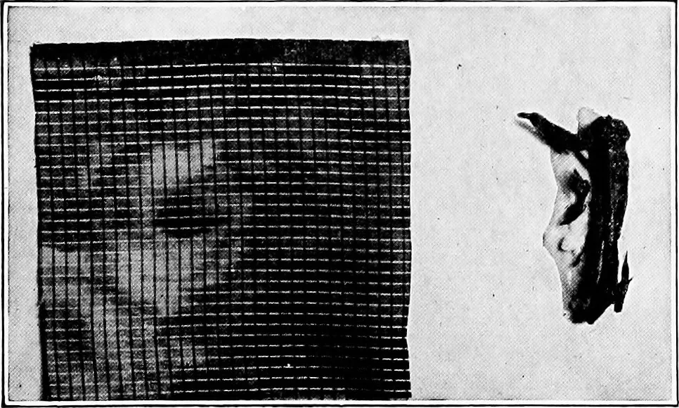 An illustration from Study of fabrics, 1920, leaf 96