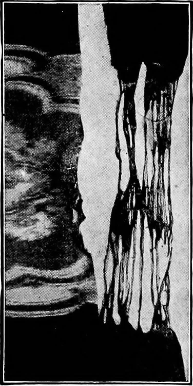 An illustration from Study of fabrics, 1920, leaf 98