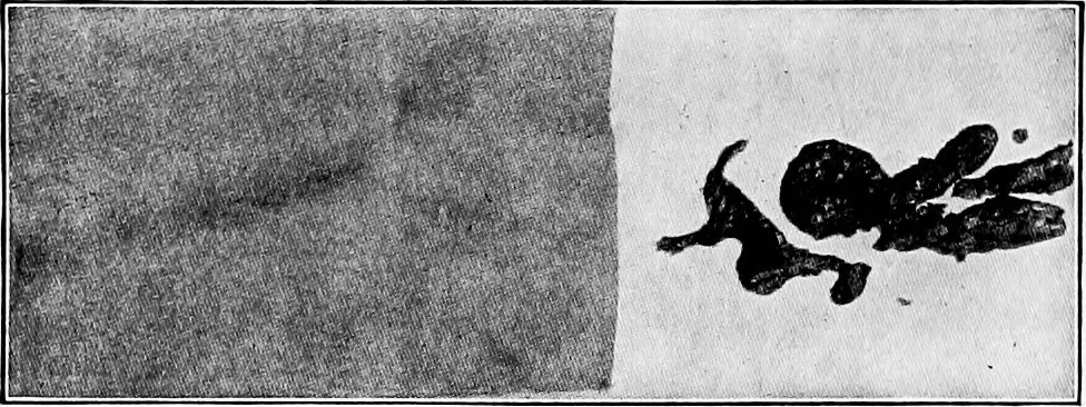 An illustration from Study of fabrics, 1920, leaf 99