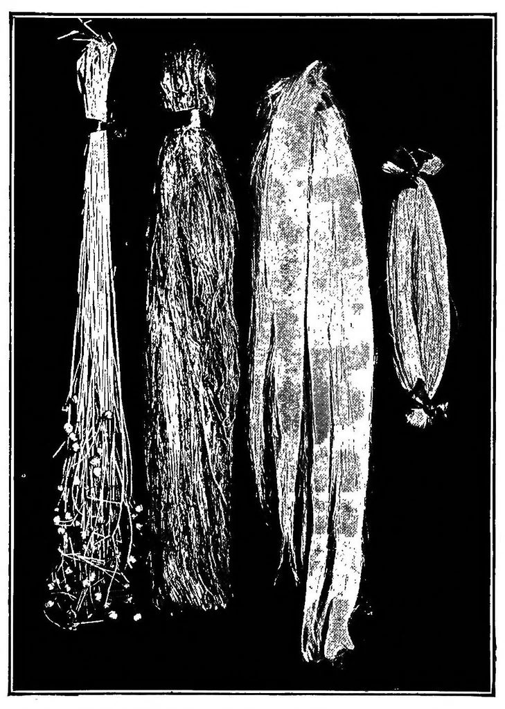 An illustration from Study of fabrics, 1920, leaf 104