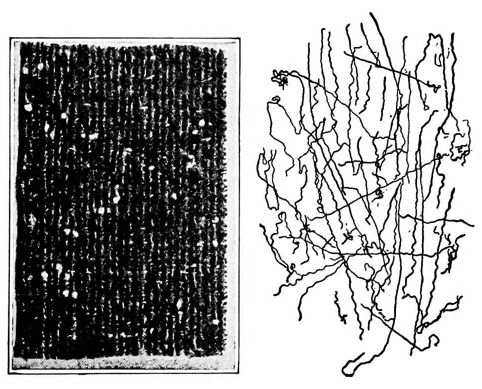 An illustration from Study of fabrics, 1920, leaf 58
