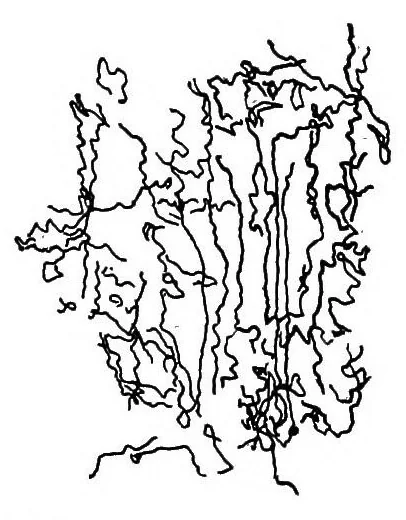 An illustration from Study of fabrics, 1920, leaf 58