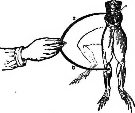 An illustration from Flame, electricity and the camera; man's progress from the first kindling of fire to the wireless telegraph and the photography of color, 1900, leaf 129