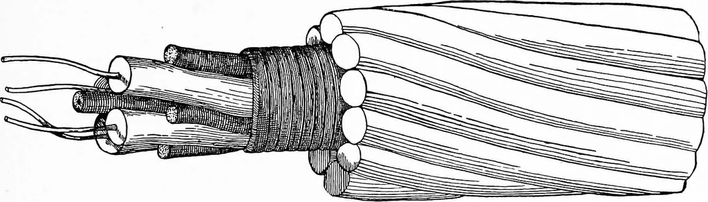 An illustration from Flame, electricity and the camera; man's progress from the first kindling of fire to the wireless telegraph and the photography of color, 1900, leaf 234