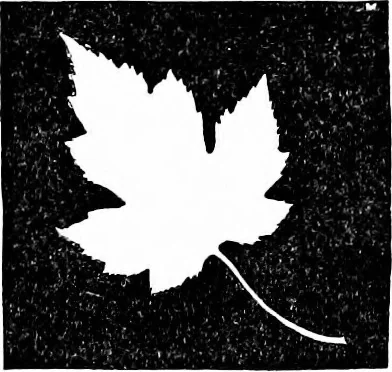 An illustration from Flame, electricity and the camera; man's progress from the first kindling of fire to the wireless telegraph and the photography of color, 1900, leaf 314