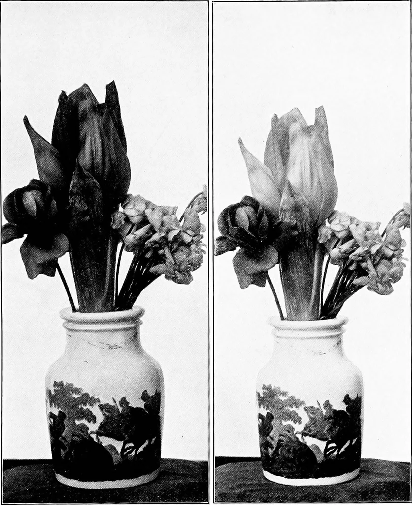 An illustration from Flame, electricity and the camera; man's progress from the first kindling of fire to the wireless telegraph and the photography of color, 1900, leaf 332