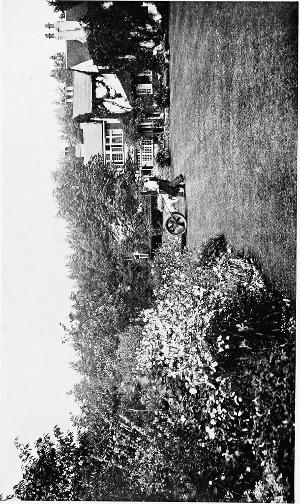 An illustration from The happy garden, 1912, leaf 100