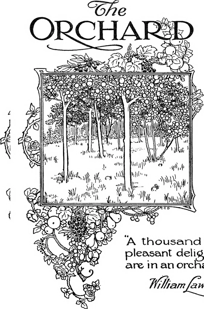 An illustration from The happy garden, 1912, leaf 104