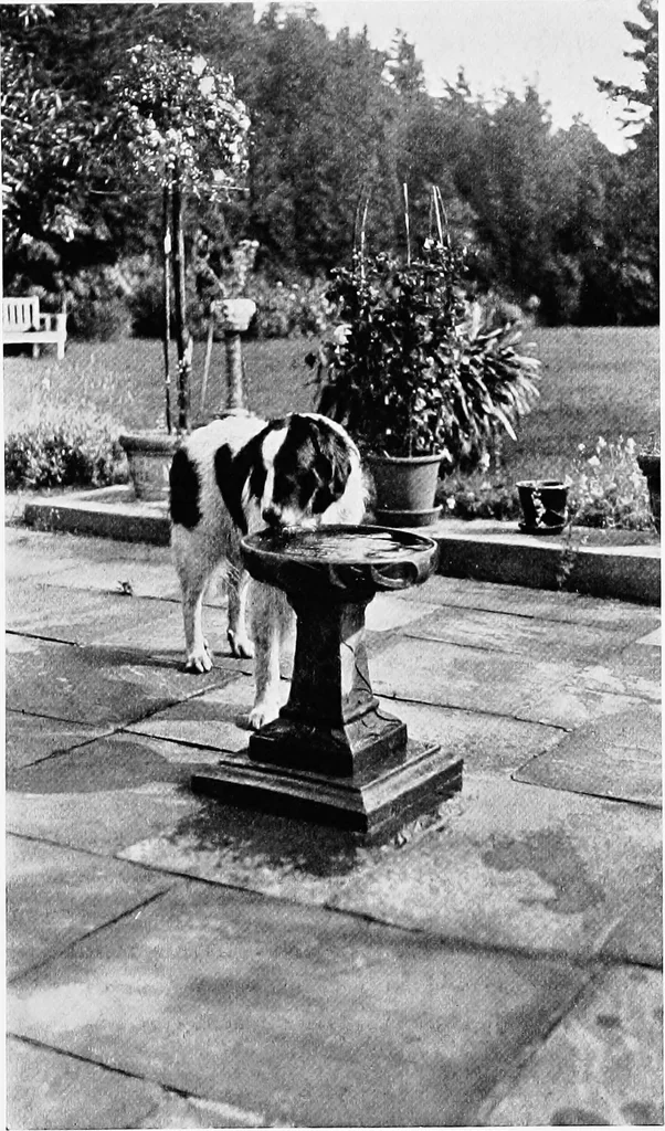An illustration from The happy garden, 1912, leaf 108