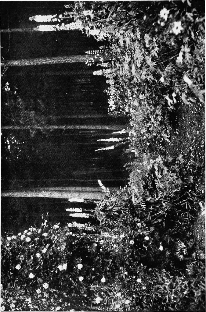 An illustration from The happy garden, 1912, leaf 144