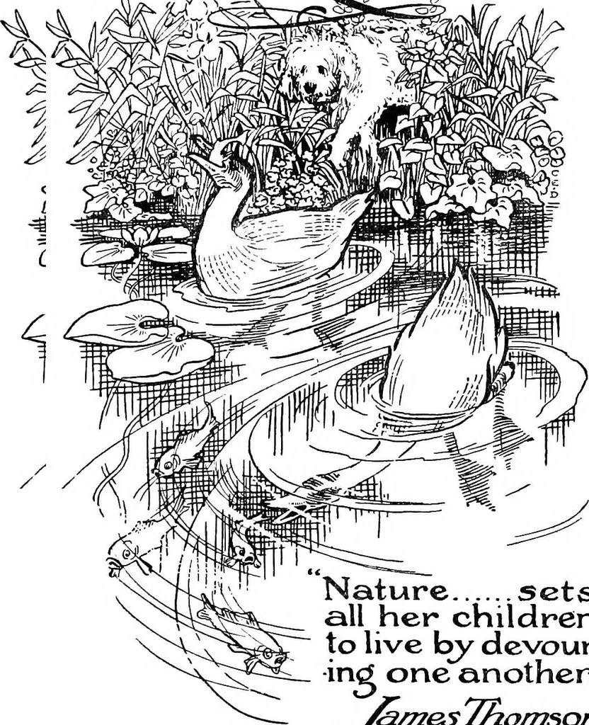An illustration from The happy garden, 1912, leaf 210