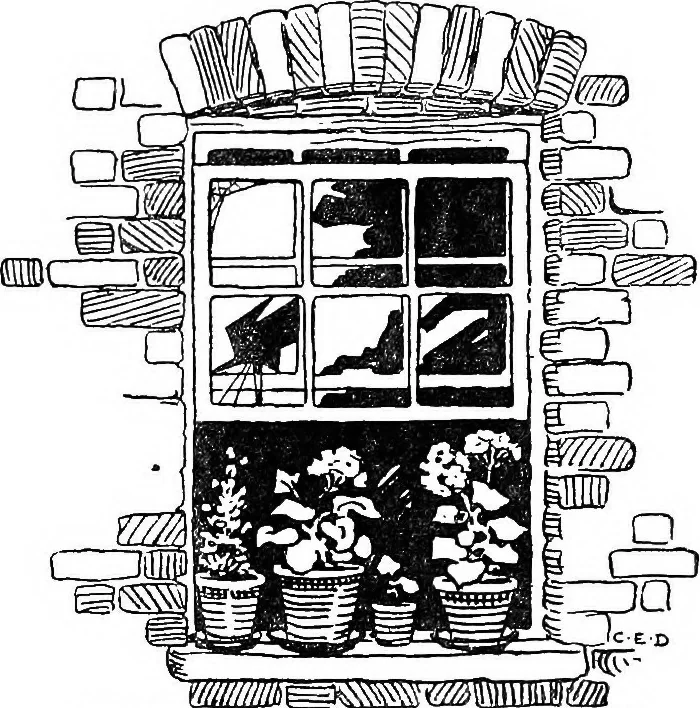 An illustration from The happy garden, 1912, leaf 228