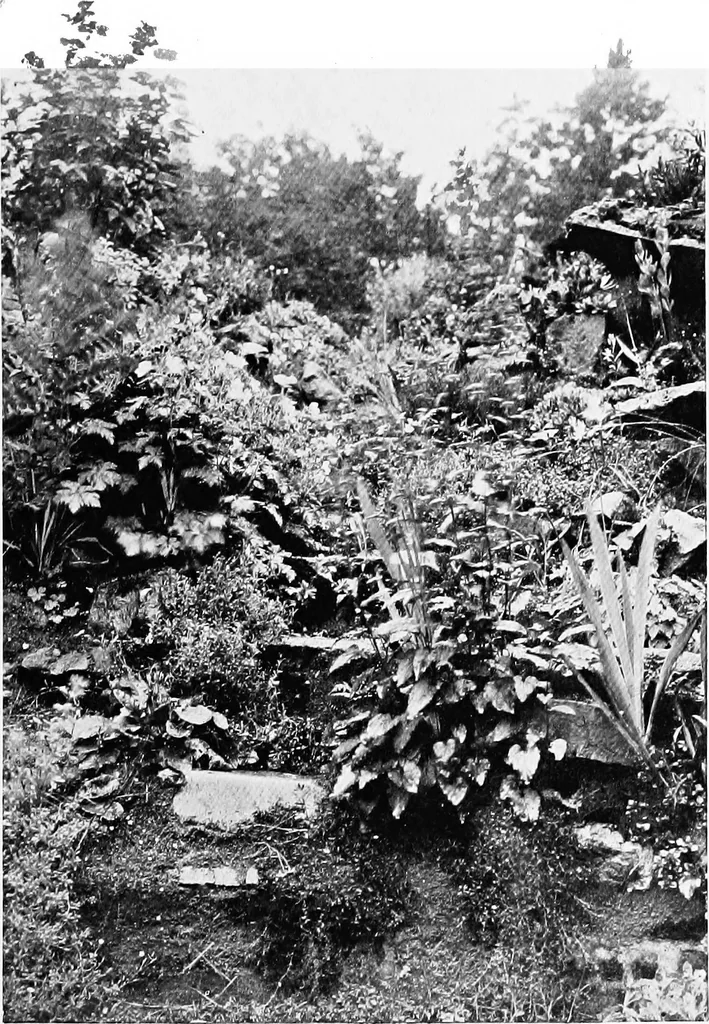 An illustration from The happy garden, 1912, leaf 248