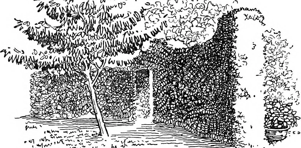 An illustration from The happy garden, 1912, leaf 40