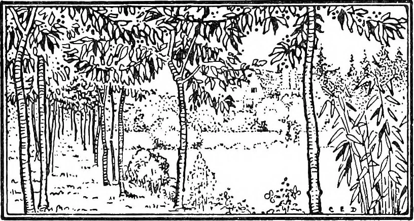 An illustration from The happy garden, 1912, leaf 72