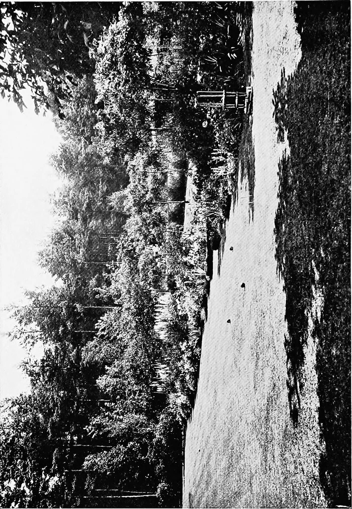An illustration from The happy garden, 1912, leaf 86
