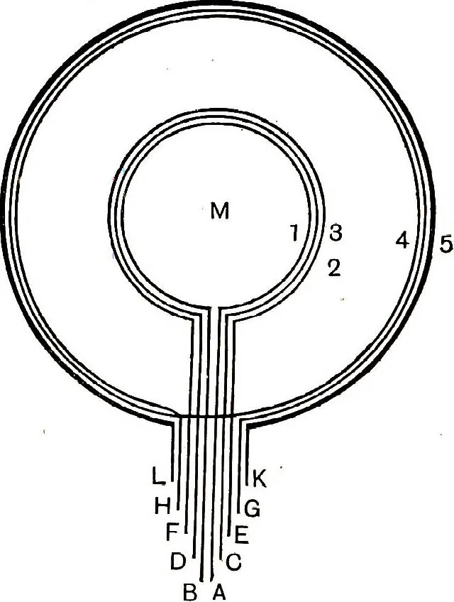 An illustration from Collected scientific papers, 1920, leaf 204