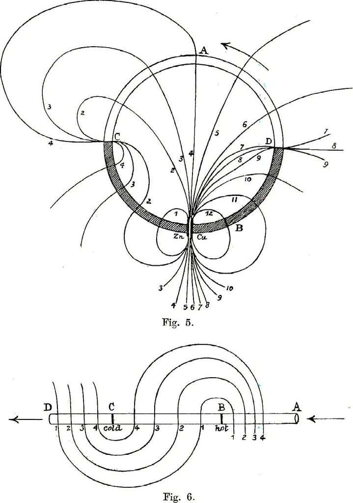 An illustration from Collected scientific papers, 1920, leaf 224