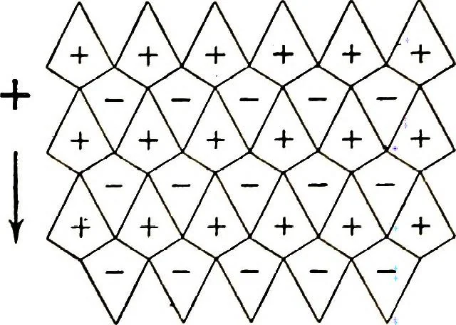 An illustration from Collected scientific papers, 1920, leaf 296