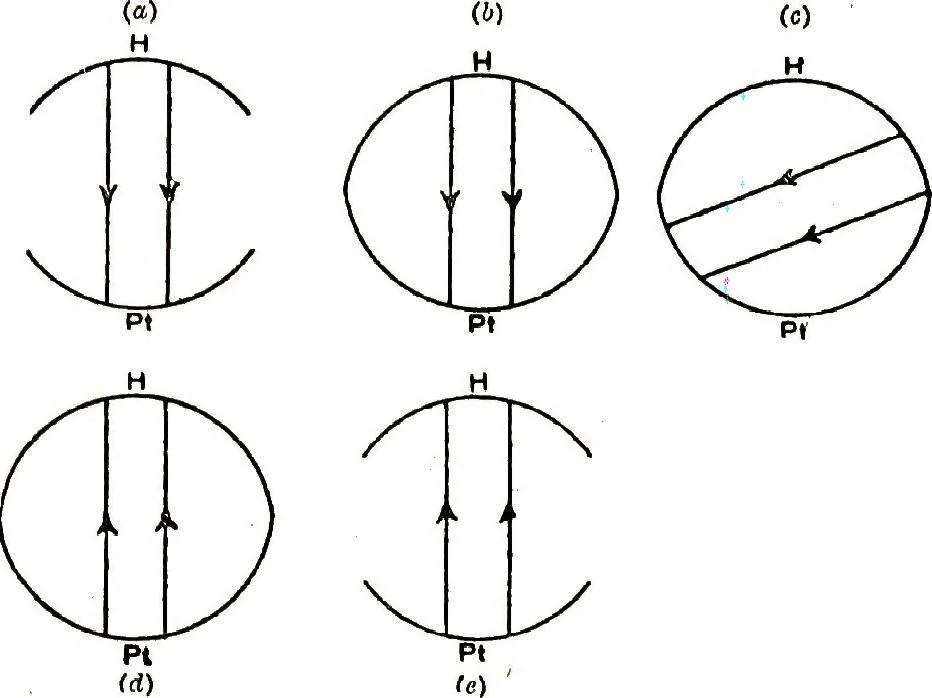 An illustration from Collected scientific papers, 1920, leaf 317