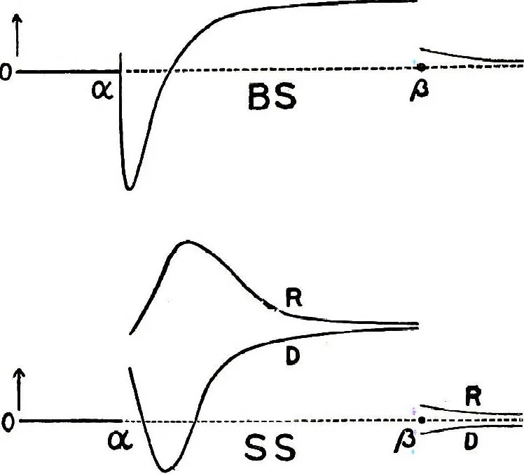 An illustration from Collected scientific papers, 1920, leaf 428
