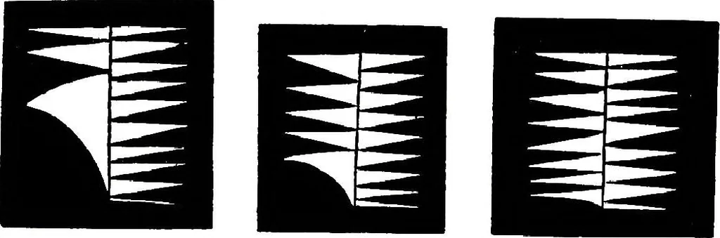 An illustration from Collected scientific papers, 1920, leaf 489