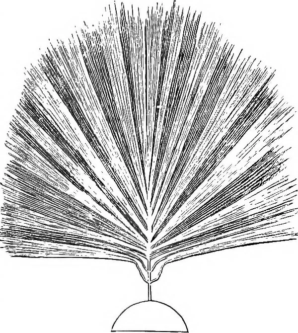 An illustration from Elementary treatise on electricity and magnetism, 1903, leaf 156