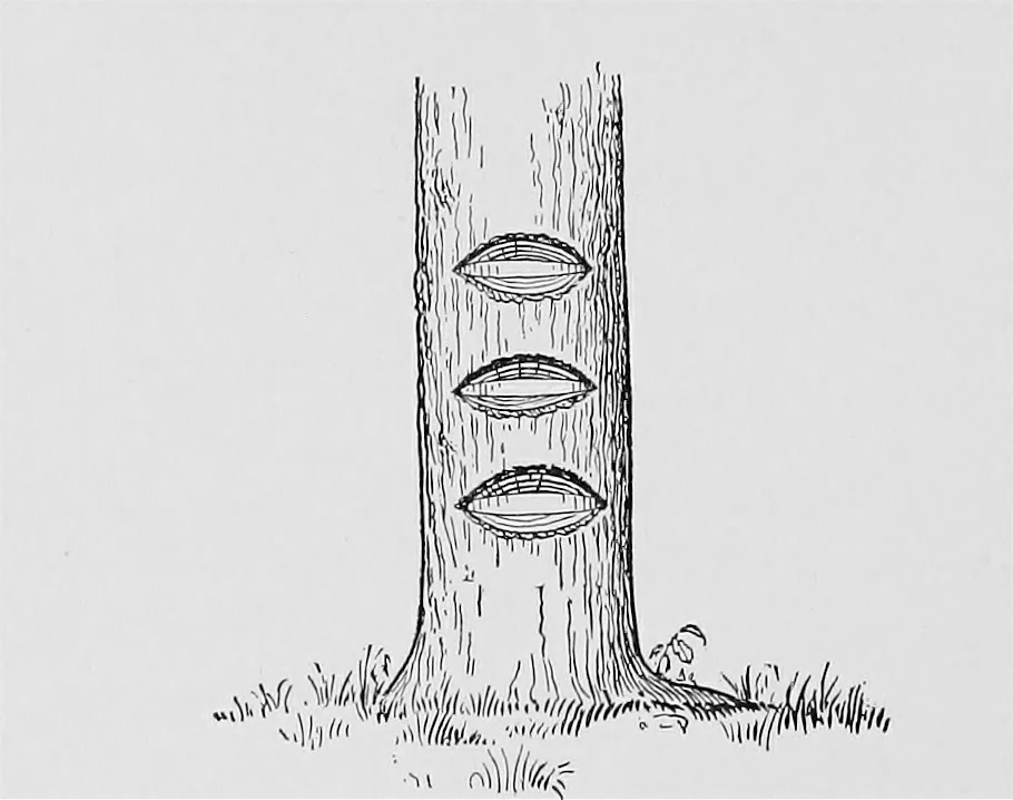 An illustration from Boundaries and landmarks: a practical manual, 1912, leaf 35