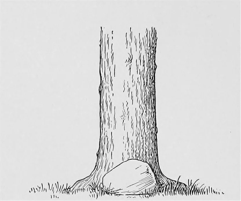 An illustration from Boundaries and landmarks: a practical manual, 1912, leaf 35