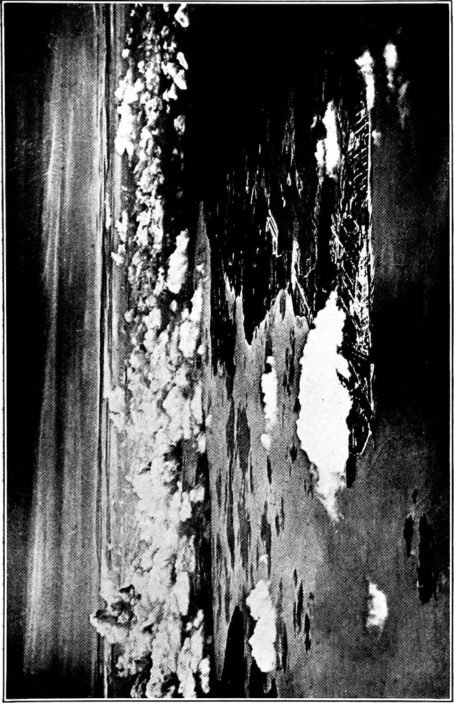 An illustration from The book of the sky; a résumé of personal experience and observation, 1922, leaf 182