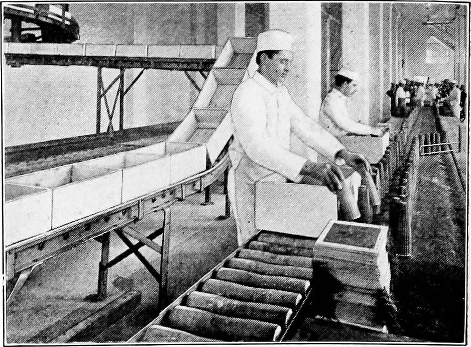 An illustration from Material handling cyclopedia; a reference book covering definitions, descriptions, illustrations and methods of use of material handling machines employed in industry, 1921, leaf 391